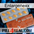 Enlargenexx 43